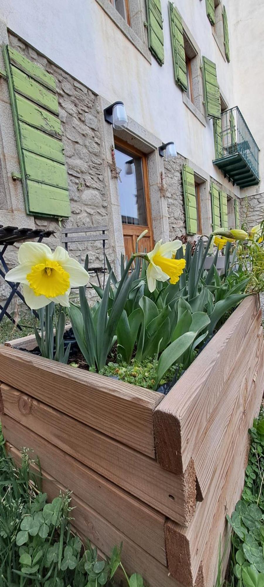 Le Grenier Des Moineaux Bed and Breakfast Font-Romeu-Odeillo-Via Buitenkant foto